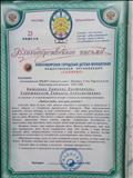 Благодарственное письмо за участие в 4м  международном конкурсе социально значимых плакатов "Люблю тебя мой край родной2 2017 год